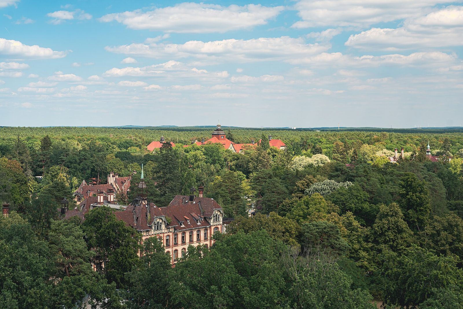 De røde takene på det forlatte sanatoriekomplekset Beelitz-Heilstätten sett ovenfra fra trekronestien, spredt utover skogen