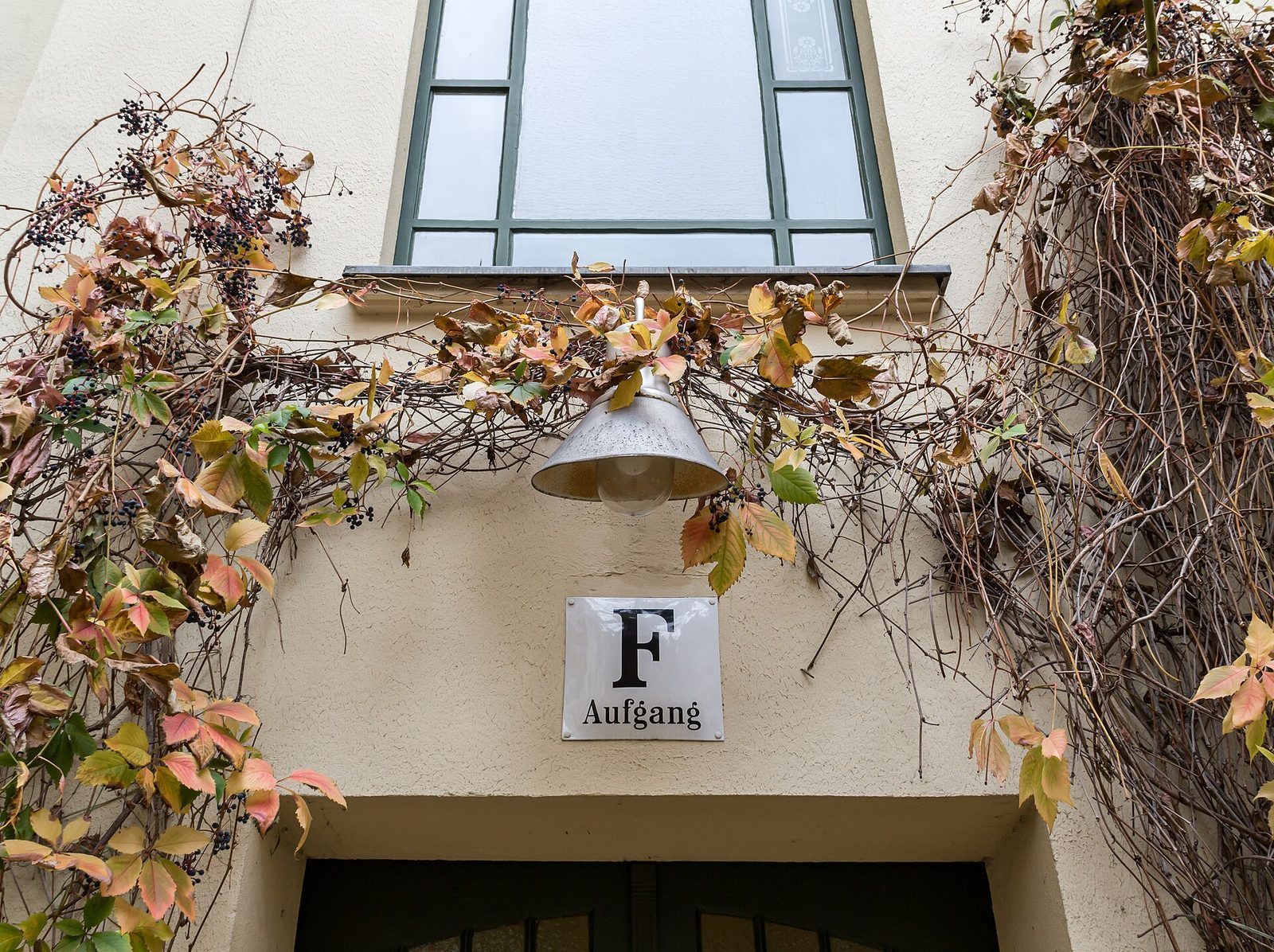 Skiltet «Aufgang F» på en vinbevokst vegg i en av bakgårdene i Hackesche Höfe