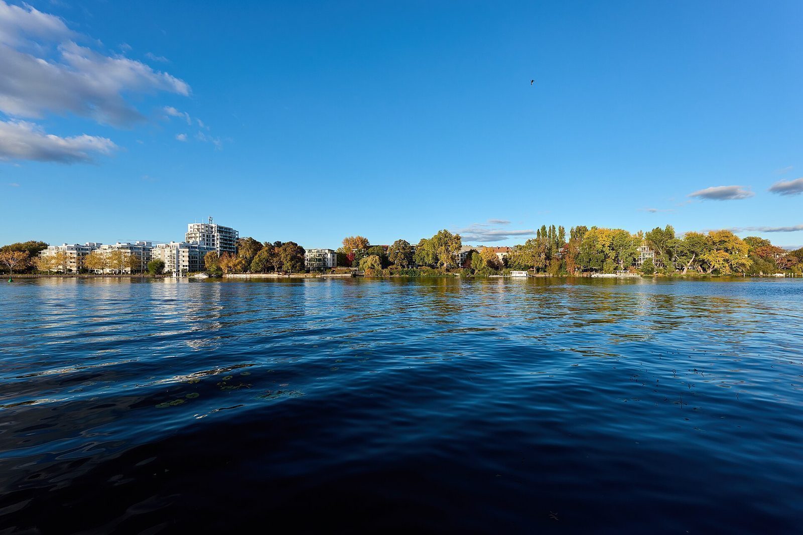 Spree sett fra bredden i Treptower Park en høstdag